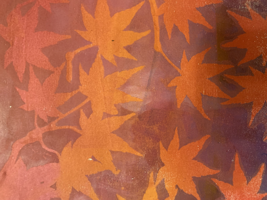 Gel Printing with Barbara Boren, 1-17-26