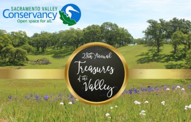 Treasures Of The Valley