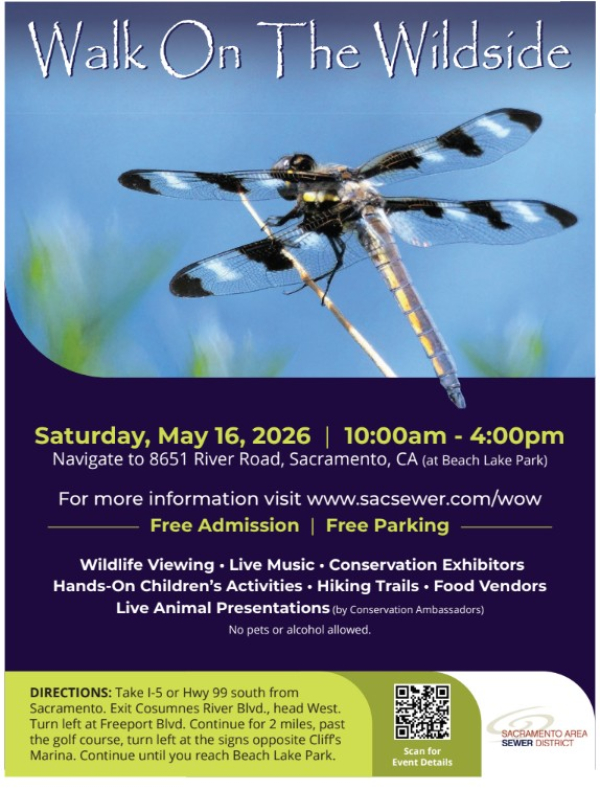 Walk On The Wildside