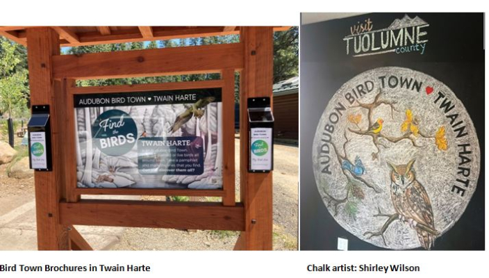 Twain Harte, California, Is Named Audubon Bird Town