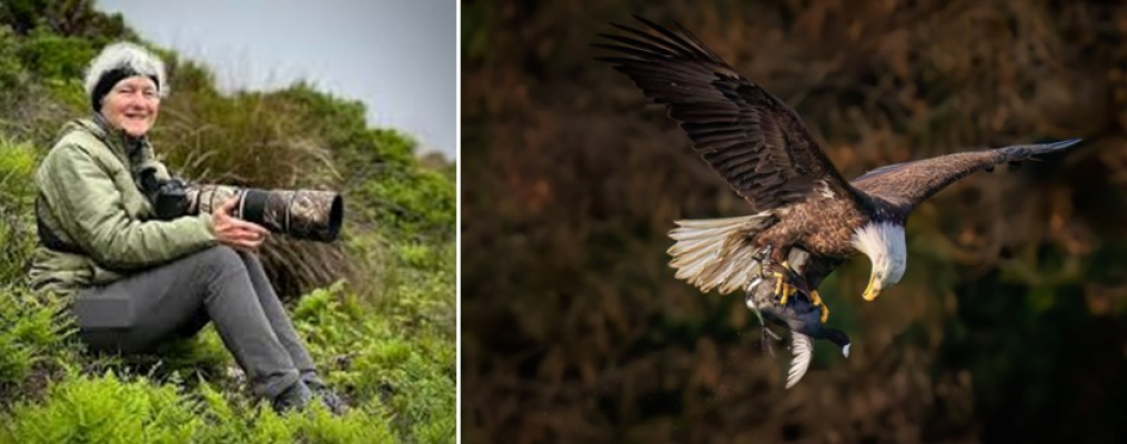Alice Cahill California Wildlife Photo Of The Year 2025