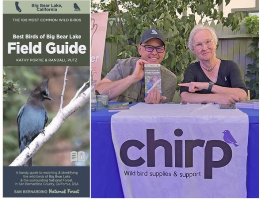 The Best Birds Of Big Bear Lake Field Guide