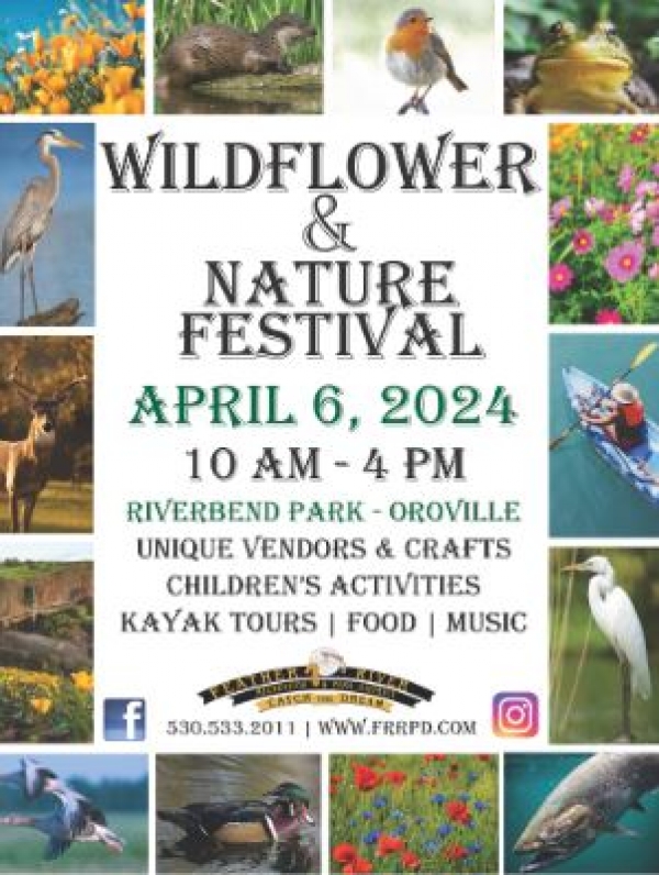  Wildflower & Nature Festival