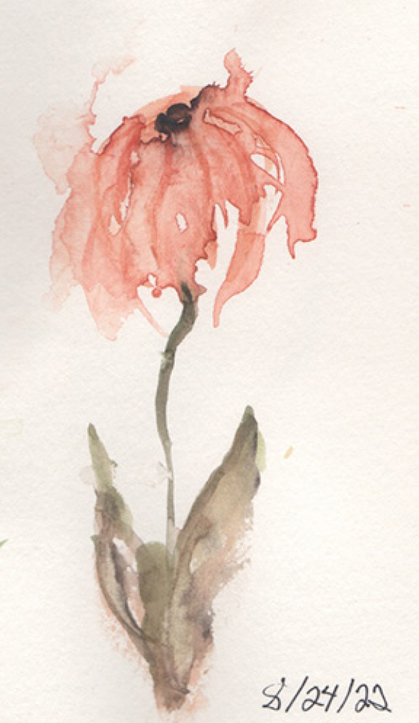 Watercolor Roses And Wildflowers at the Carnegie