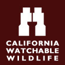 California Watchable Wildlife