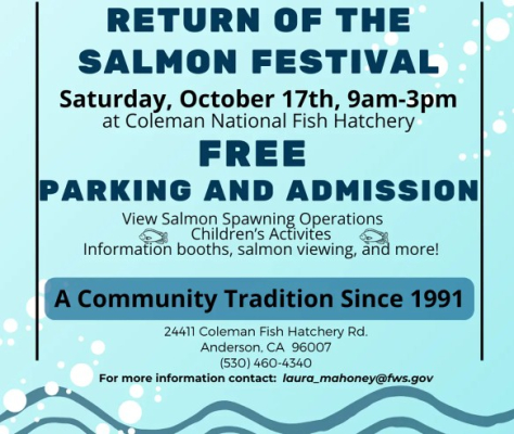Return Of The Salmon Festival