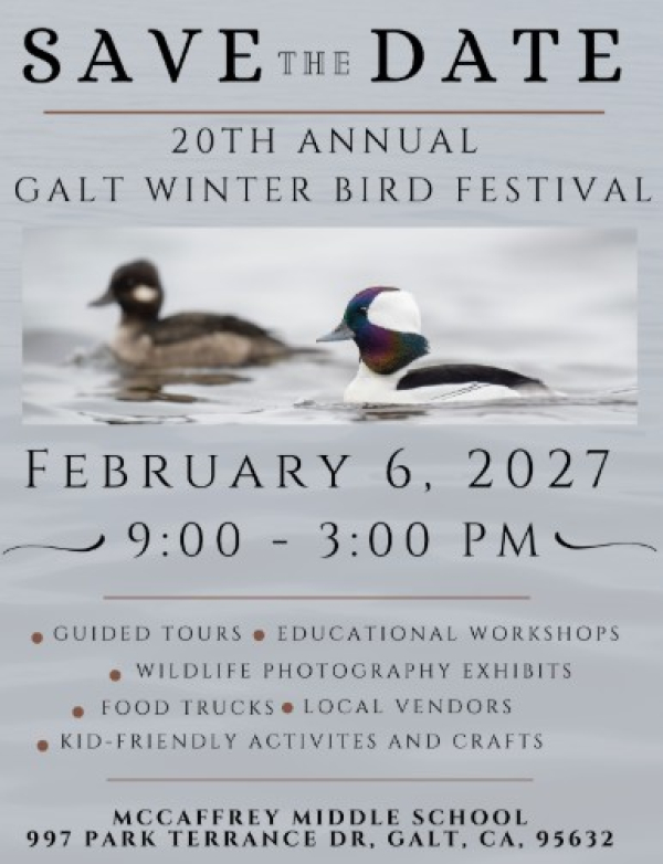 Galt Winter Bird Festival