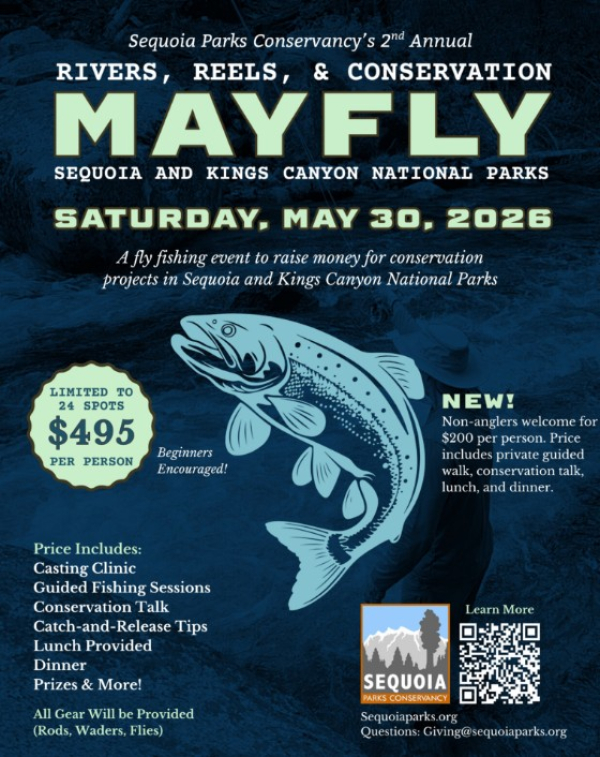 Mayfly - River, Reels, & Conservation