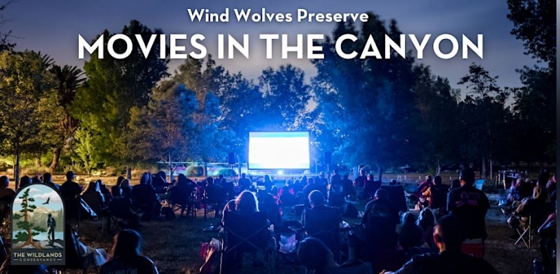 Movies In The Canyon - Wind Wolves Preserve