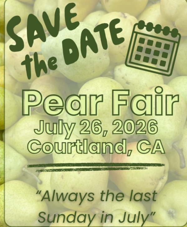 Annual Pear Fair