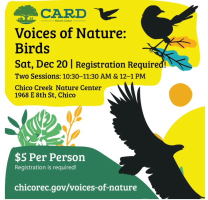 Voices Of Nature:  Birds