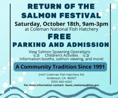 Return Of The Salmon Festival