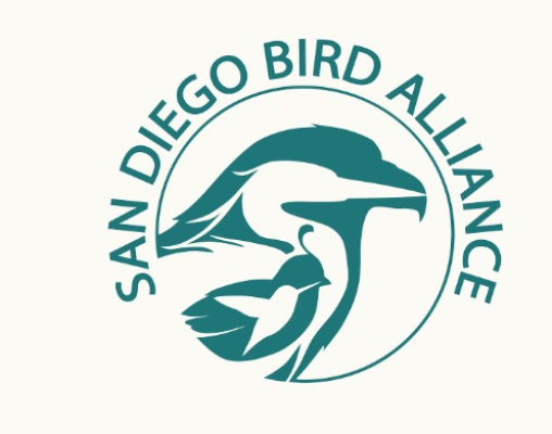 San Diego Bird Festival 
