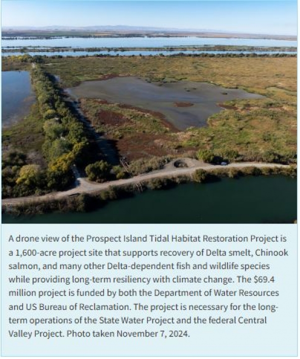 Returning A Piece Of The Delta To Natureâ€™s Blueprint