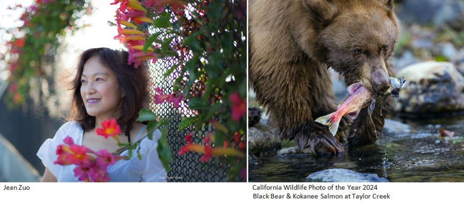 California Wildlife Photo Of The Year 2024