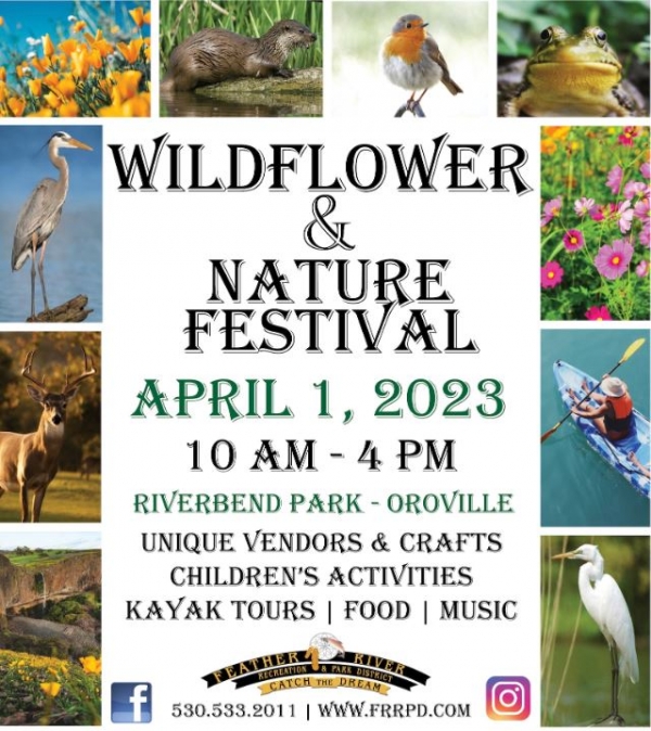 Wildflower & Nature Festival