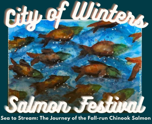 Winters Salmon Festival