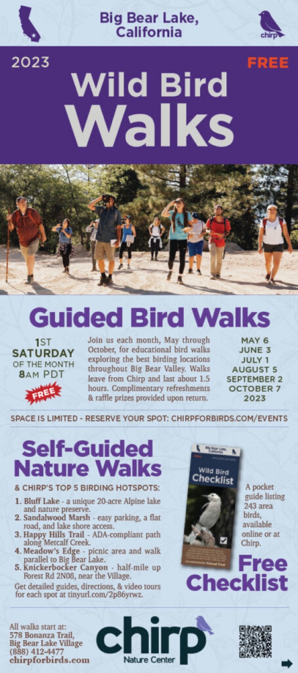 Chirp Nature Center Virtual Bird Walk