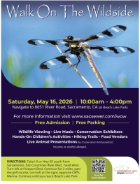 Walk On The Wildside